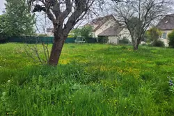 Vente terrain Crépy-en-Valois  