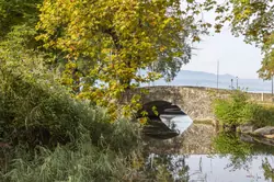 Vente terrain à bâtir Sciez  
