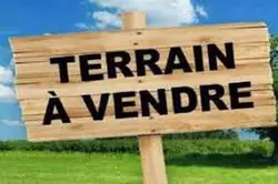 Vente terrain Sciez  