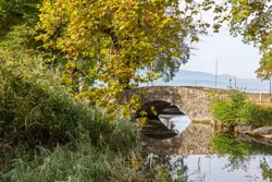 Vente terrain à bâtir Sciez  