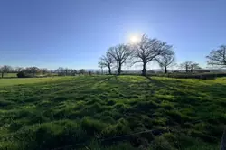 Vente maison Chenay-le-Châtel Vente maison Chenay-le-Châtel