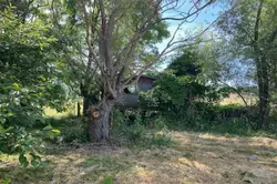 Vente terrain de loisirs Bourg-le-Comte  