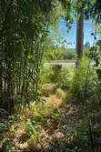 Vente terrain de loisirs Bourg-le-Comte  
