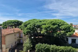 Vente appartement Canet-en-Roussillon  