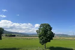 Vente maison Issenheim  