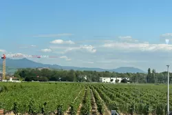 Vente maison Ingersheim Vente maison Ingersheim