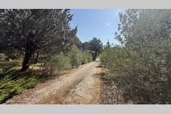 Vente maison Saint-Maximin-la-Sainte-Baume Vente maison Saint-Maximin-la-Sainte-Baume