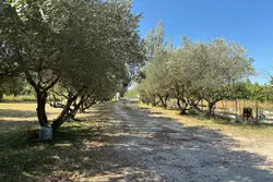 Vente maison Beaucaire  