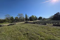 Vente mas Gordes  