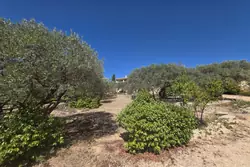Vente maison Saint-Saturnin-lès-Apt Vente maison Saint-Saturnin-lès-Apt