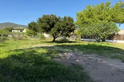 Vente terrain Bormes-les-Mimosas Vente terrain Bormes-les-Mimosas