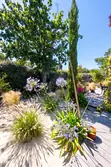 Vente maison Soulac-sur-Mer  