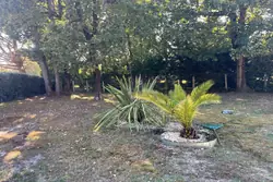 Vente maison Soulac-sur-Mer  