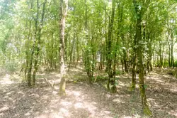 Vente terrain Talais Vente terrain Talais