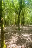 Vente terrain Talais Vente terrain Talais