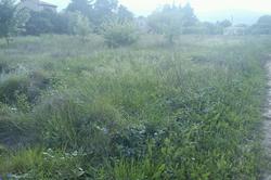 Photos Terrain constructible à vendre Solliès-Pont 83210