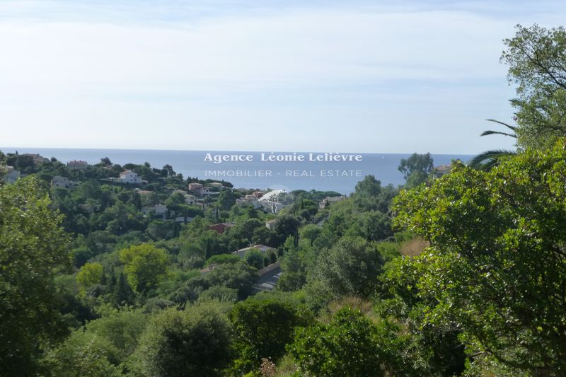 Photo Terrain constructible Les Issambres achat terrain constructible 1350 m²