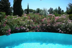 Vente villa Les Issambres 