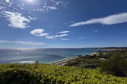 Vente villa Les Issambres 