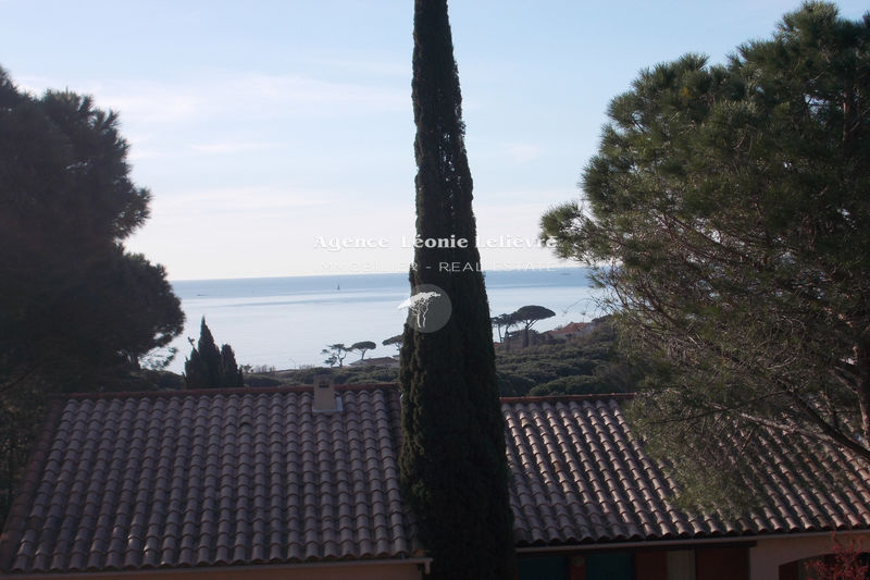 Photo Appartement Sainte-Maxime Proche plages, achat appartement 1 pièce 20 m²