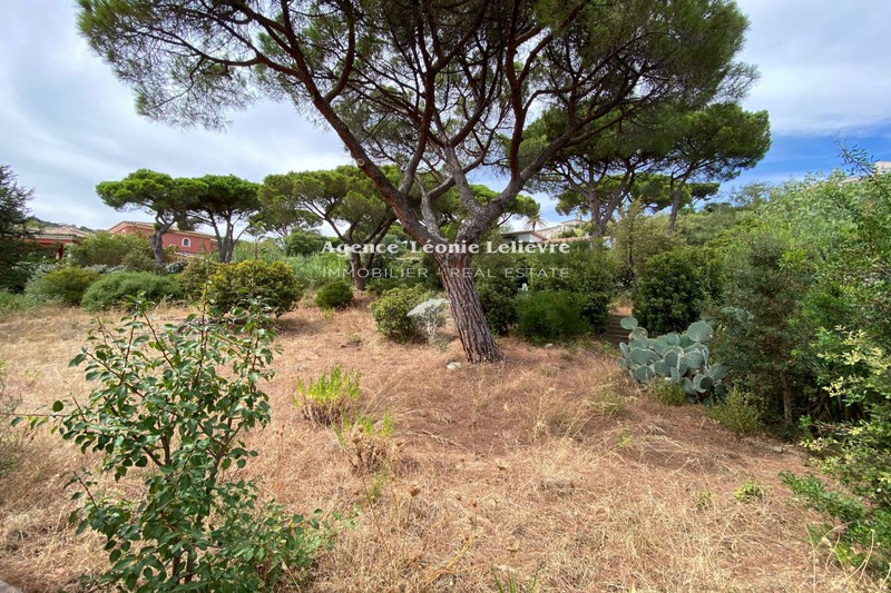 Photo Terrain Sainte-Maxime achat terrain 1726 m²