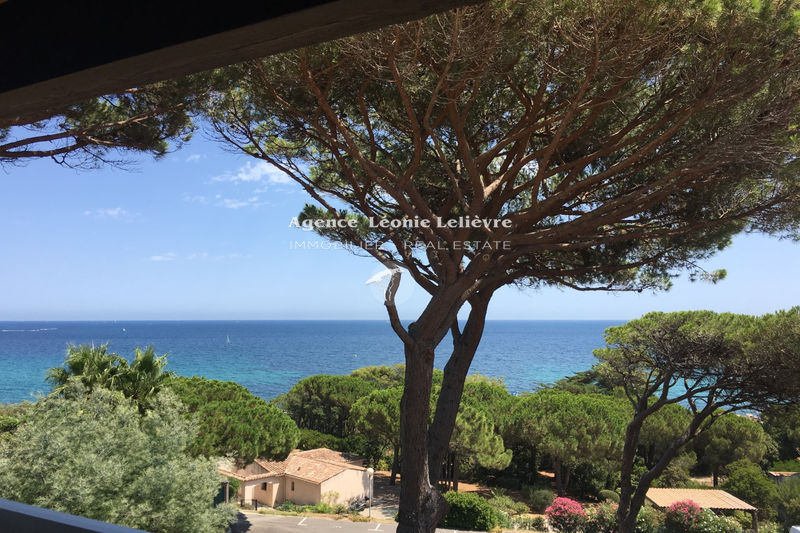 Photo Appartement Sainte-Maxime Proche plages, achat appartement 2 pièces 27 m²