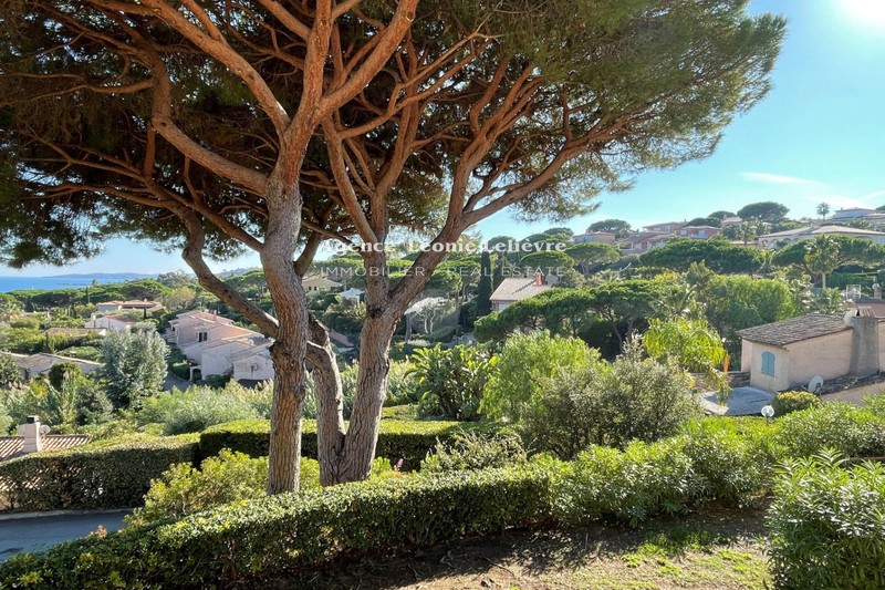 Photo n°2 - Vente appartement Sainte-Maxime 83120 - 35 000 €