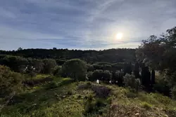 Photos  Terrain à bâtir à vendre Les Issambres 83380