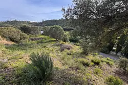 Vente terrain à bâtir Les Issambres 