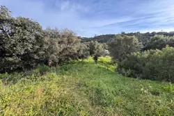 Vente terrain à bâtir Les Issambres 
