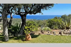 Vente appartement Les Issambres 