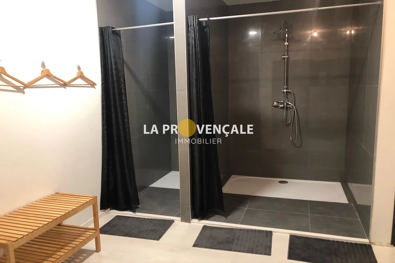 Professionnel  Velaux  