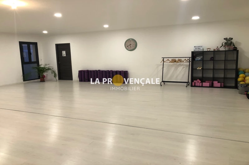 Professionnel  Velaux  
