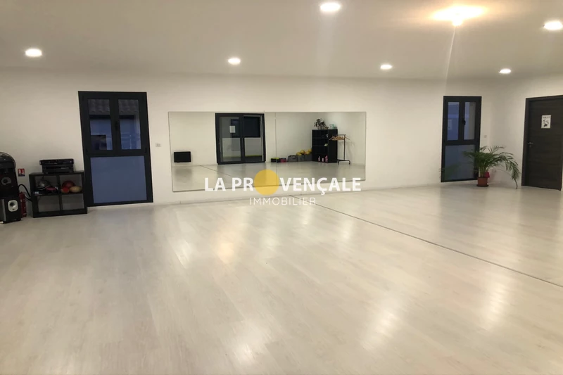 Professionnel  Velaux  