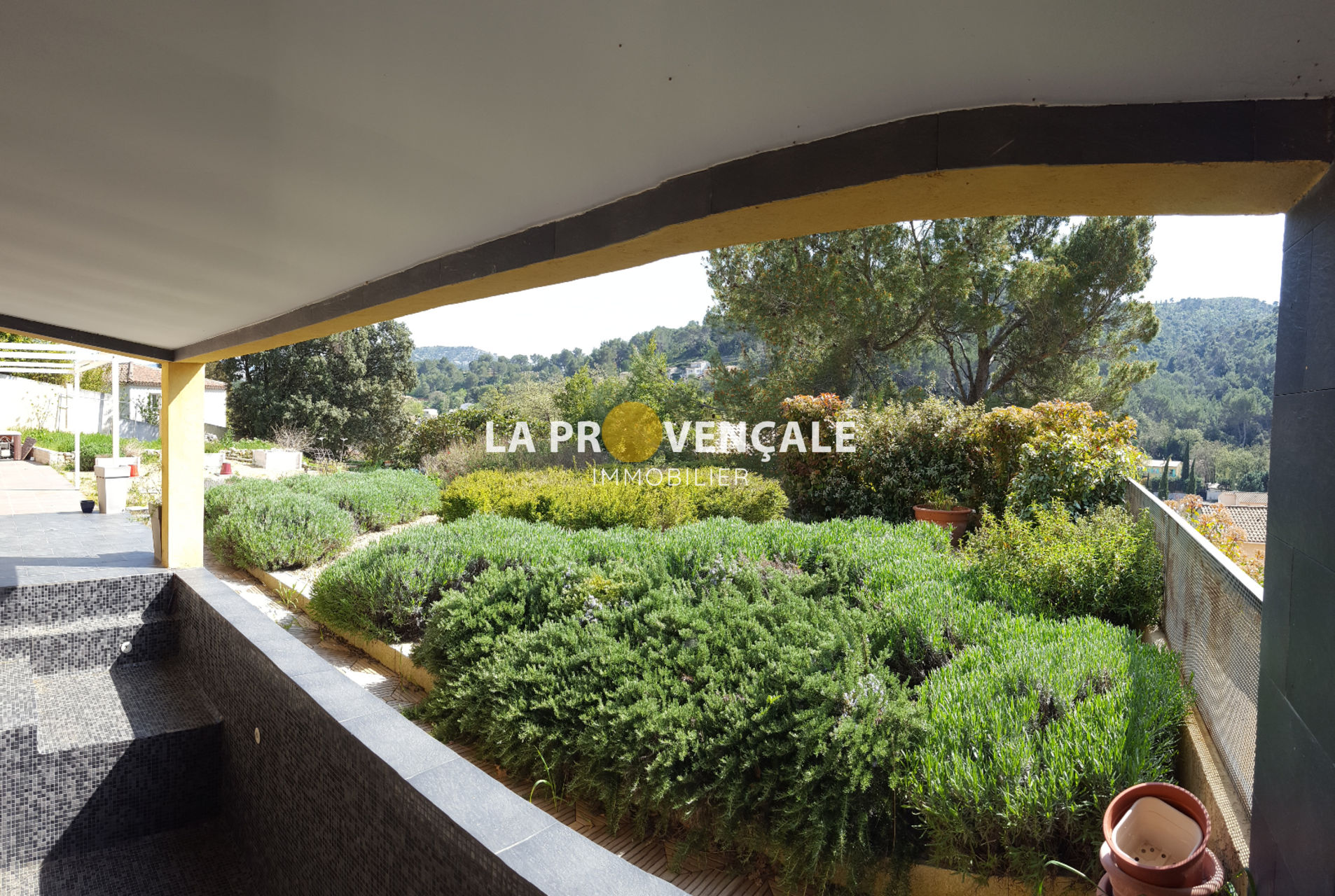 5ad8b74aed9de photo hd