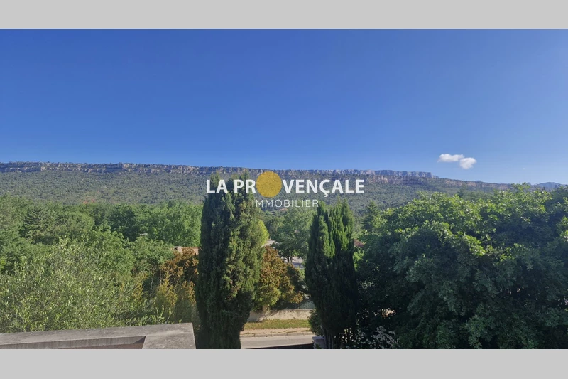 Vente villa Châteauneuf-le-Rouge  