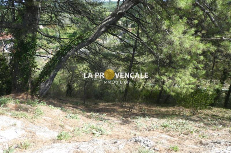 Photo Terrain Belcodène achat terrain 569 m²