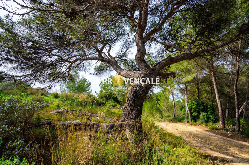 terrain  Peynier   7370 m² -   