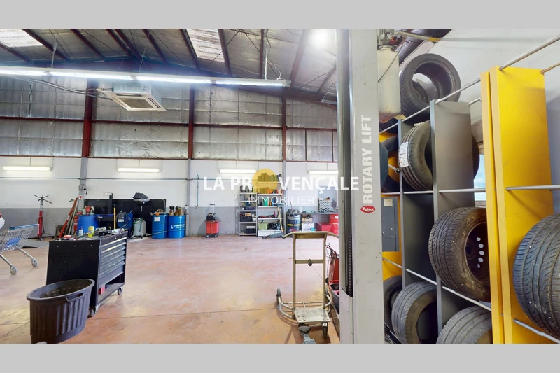 Professionnel  Trets  