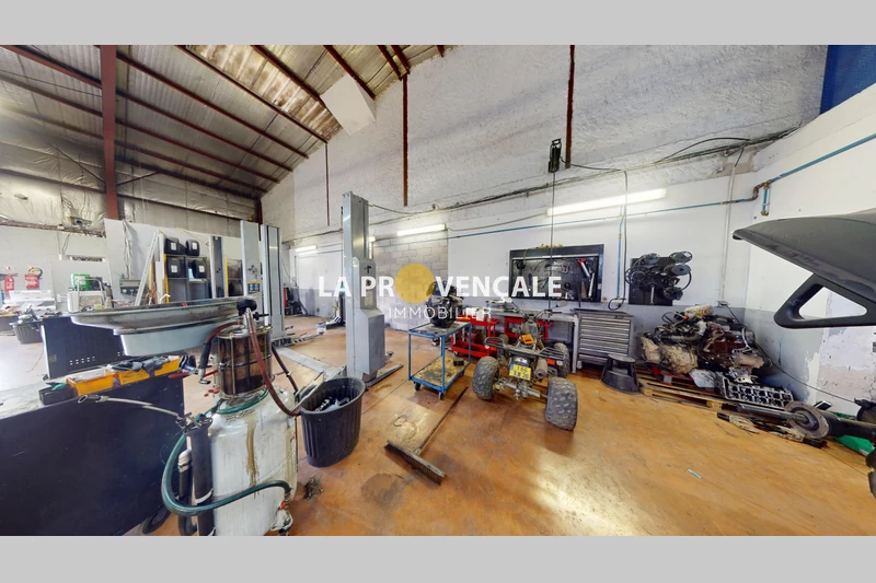 Professionnel  Trets  