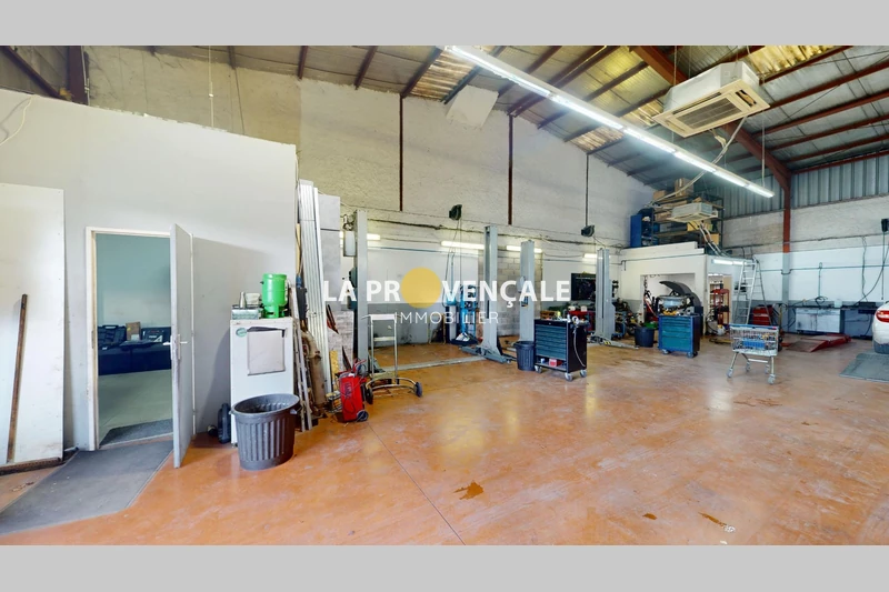 Professionnel  Trets  