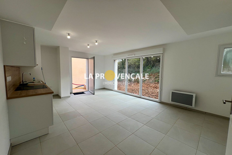 maison  2 pièces  Saint-Maximin-la-Sainte-Baume   50 m² -   