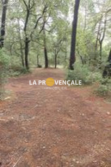 terrain  Nans-les-Pins   2315 m² -   