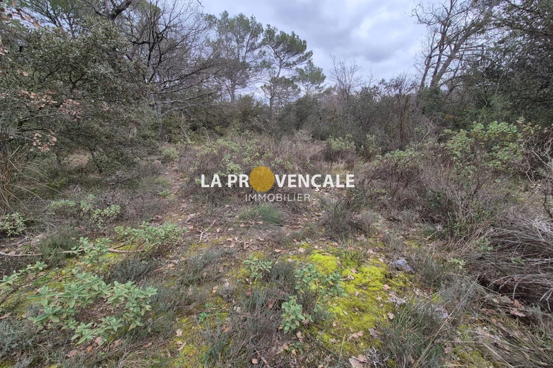 Vente terrain Nans-les-Pins  