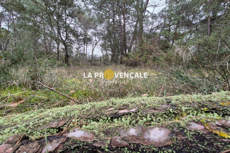 Vente terrain Nans-les-Pins  