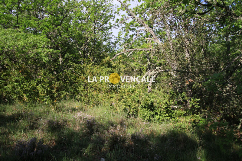 Vente terrain Rians  
