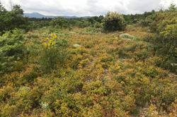 Photos Terrain à vendre Peynier 13790