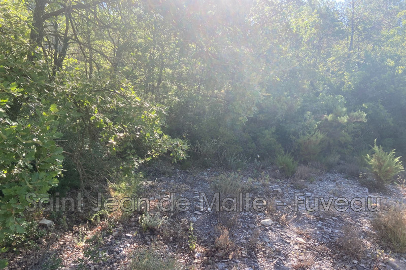 Vente terrain de loisirs Peynier  