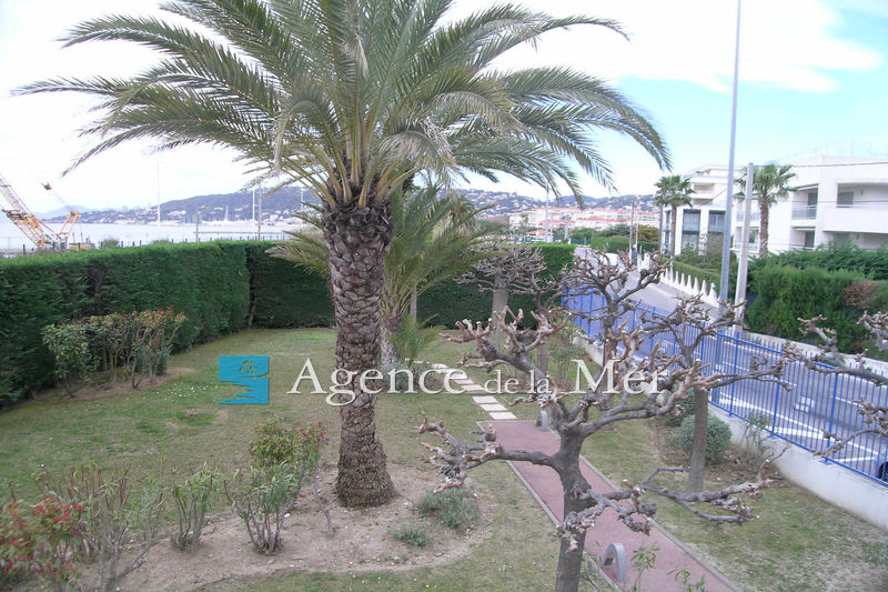 Photo Appartement Juan-les-Pins Bord de mer, achat appartement 2 pièces 67 m²