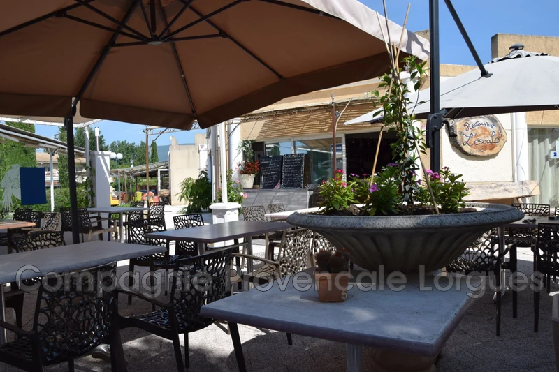 Professionnel locaux Tourrettes  